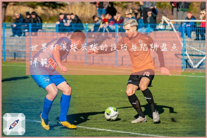 世界杯滚球买球的技巧与陷阱盘点详解