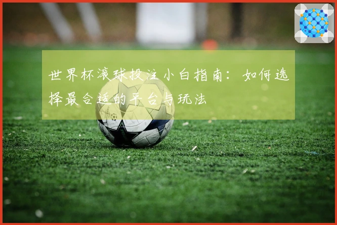 世界杯滚球投注小白指南：如何选择最合适的平台与玩法