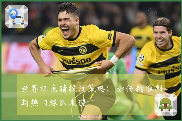世界杯竞猜投注策略：如何精准判断热门球队表现