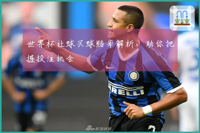 世界杯让球买球赔率解析，助你把握投注机会