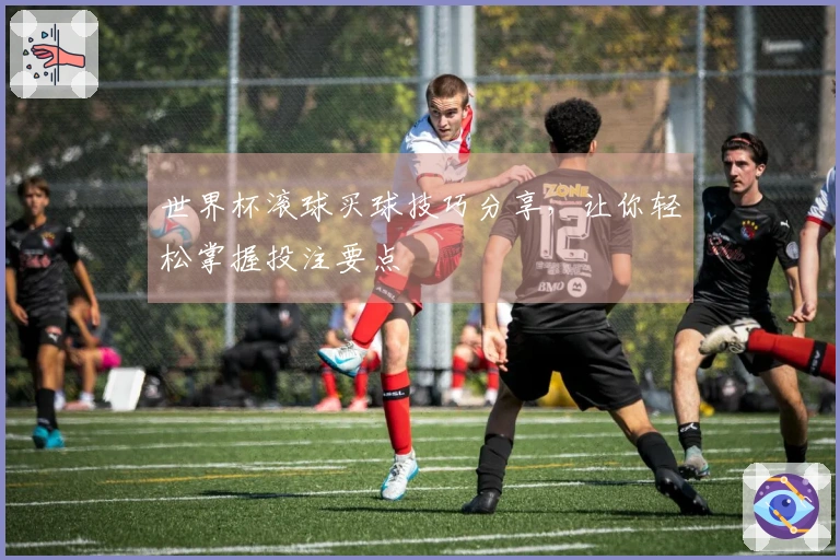 世界杯滚球买球技巧分享，让你轻松掌握投注要点
