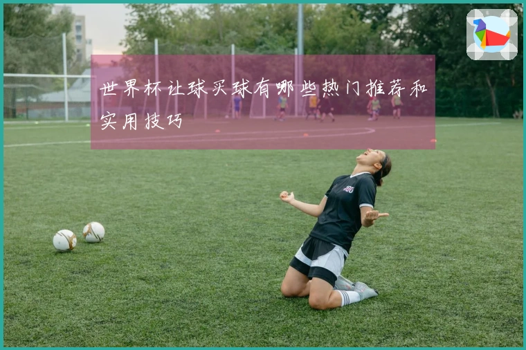 世界杯让球买球有哪些热门推荐和实用技巧